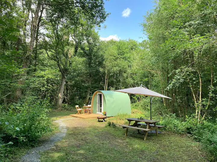 picture of a pod and a picnic table in the woods